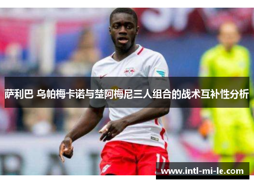 萨利巴 乌帕梅卡诺与楚阿梅尼三人组合的战术互补性分析