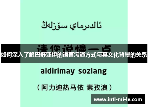 如何深入了解巴舒亚伊的语言沟通方式与其文化背景的关系
