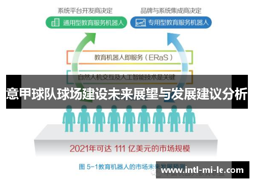意甲球队球场建设未来展望与发展建议分析