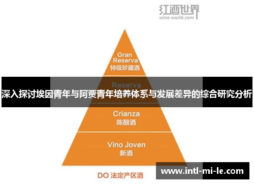 深入探讨埃因青年与阿贾青年培养体系与发展差异的综合研究分析