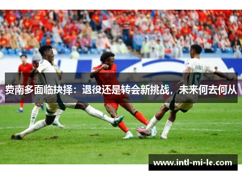 费南多面临抉择：退役还是转会新挑战，未来何去何从