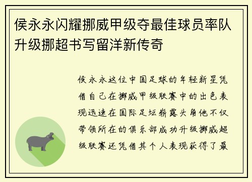 侯永永闪耀挪威甲级夺最佳球员率队升级挪超书写留洋新传奇